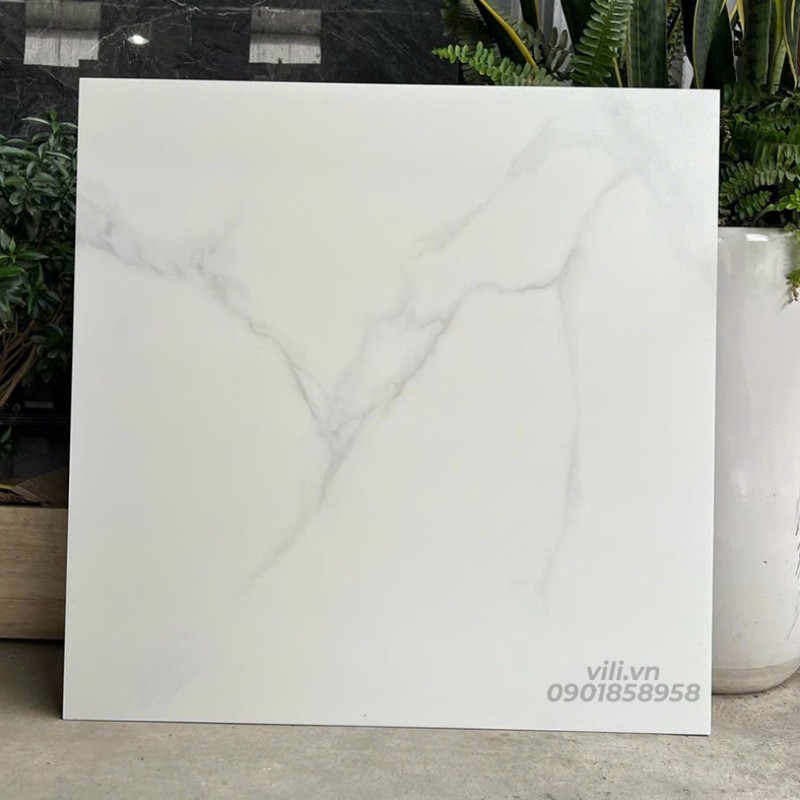 Gạch  Lát Nền 60X60 SMM66010 đá mờ