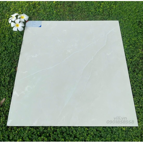 Gạch lát nền 60X60 đá bóng TTB603A