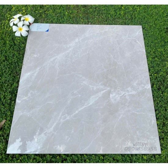 Gạch lát nền 60X60 đá bóng TTB606B