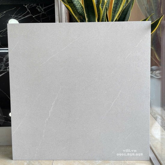 Gạch lát nền 60X60 Viglacera VHP6609 đá mờ