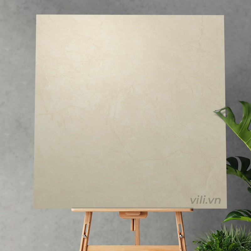 Gạch lát nền 80X80 Viglacera VHP8802 mờ matt