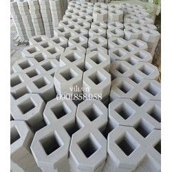Gạch trồng cỏ số 8 bóng mờ - gạch 2 lỗ