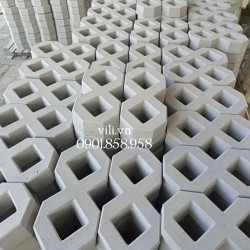 Gạch trồng cỏ số 8 bóng mờ - gạch 2 lỗ