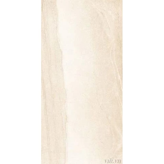 Gạch lát nền 60X120 INDIA BD 006 nhám
