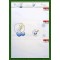 Gạch ốp tường 30X60 Prime 22011 - 22013 - 22012 men bóng