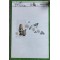 Gạch ốp tường 40X80 TASA 4676 - 4677 - 4678 bóng