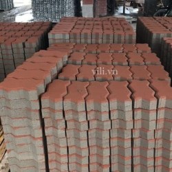 Gạch Vỉa Hè Terrazzo Con Sâu Đỏ