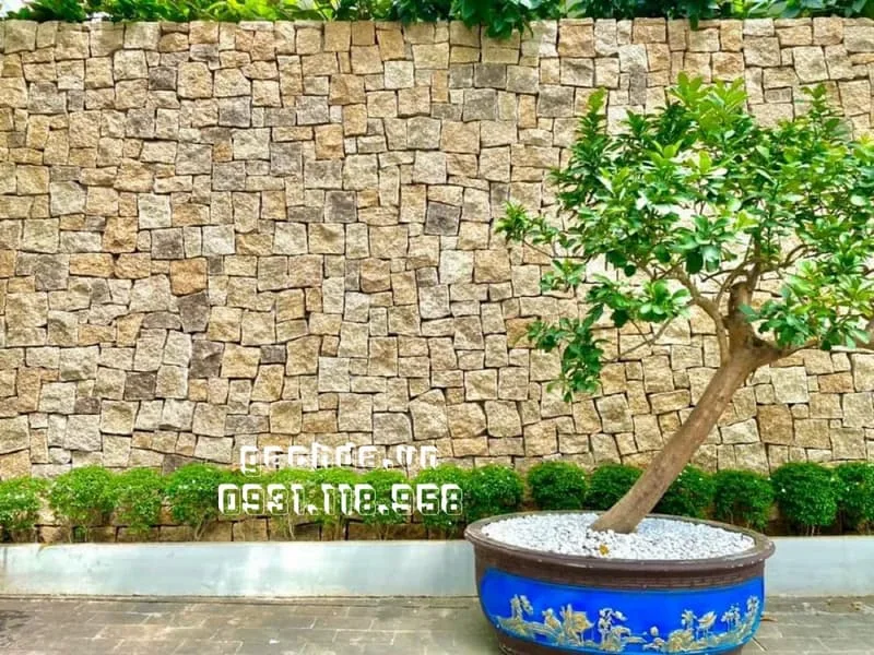 Đá rối vàng Bình Định — đá tự nhiên Việt Nam chất lượng cao